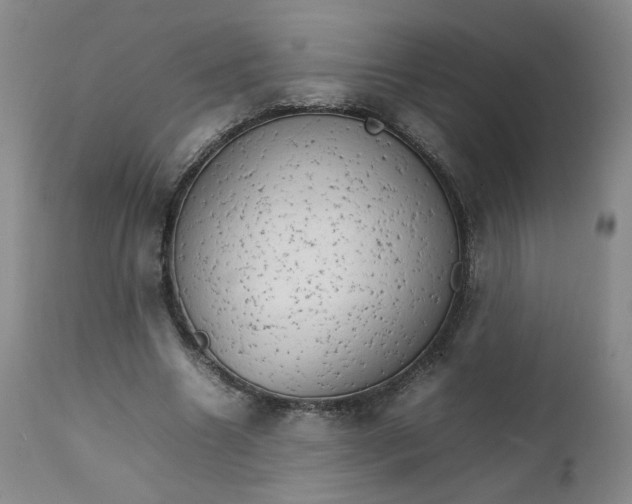 X0000111230538200907161319