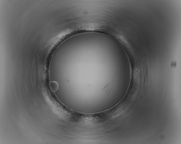 X0000111230540200907161319