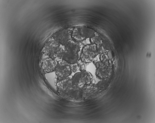 X0000111230541200907161319