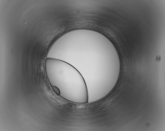 X0000111230546200907161319