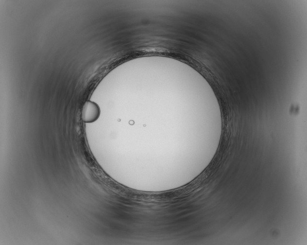 X0000111230547200907161319