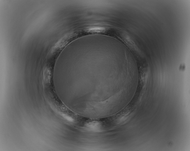 X0000111230551200907161319