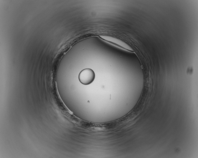 X0000111230552200907161319