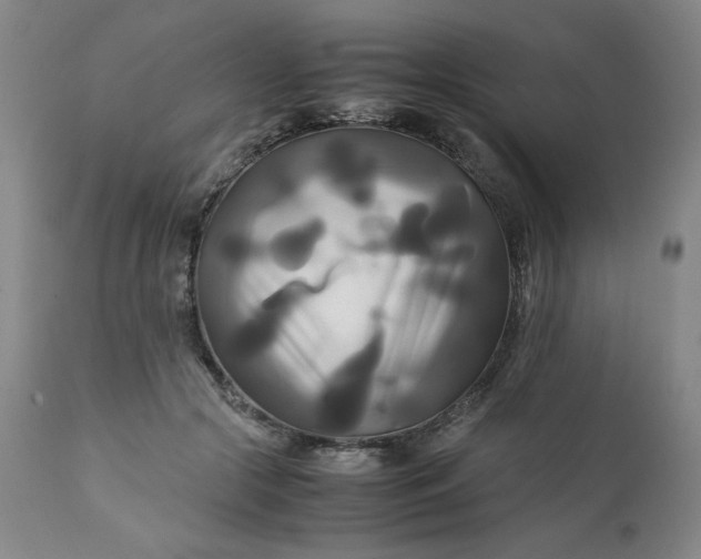 X0000111230553200907161319