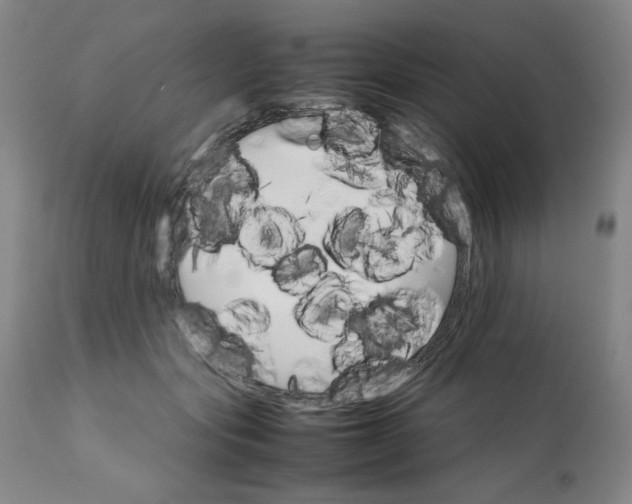 X0000111230557200907161319