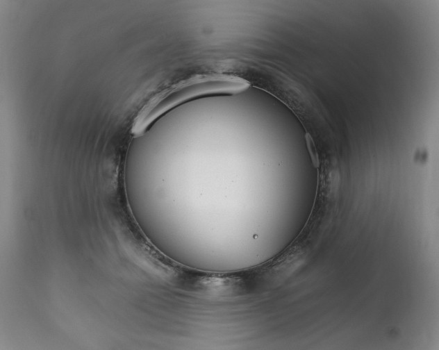 X0000111230558200907161319