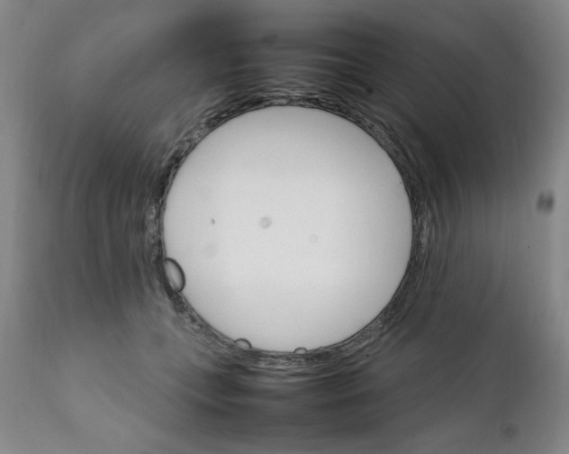X0000111230559200907161319