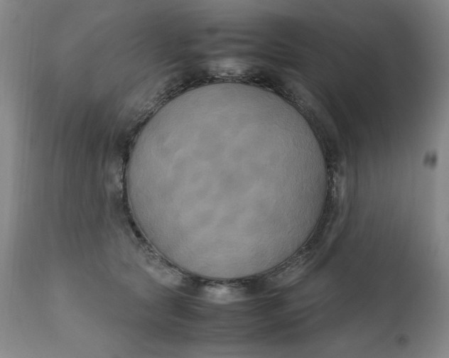 X0000111230561200907161319