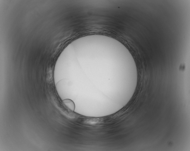 X0000111230563200907161319