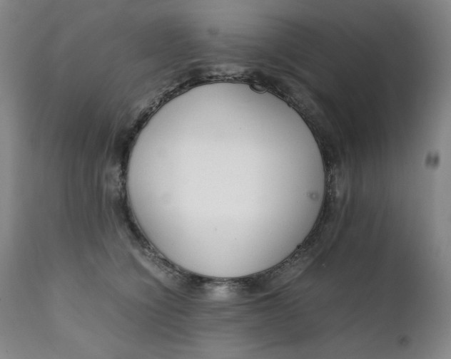 X0000111230564200907161319