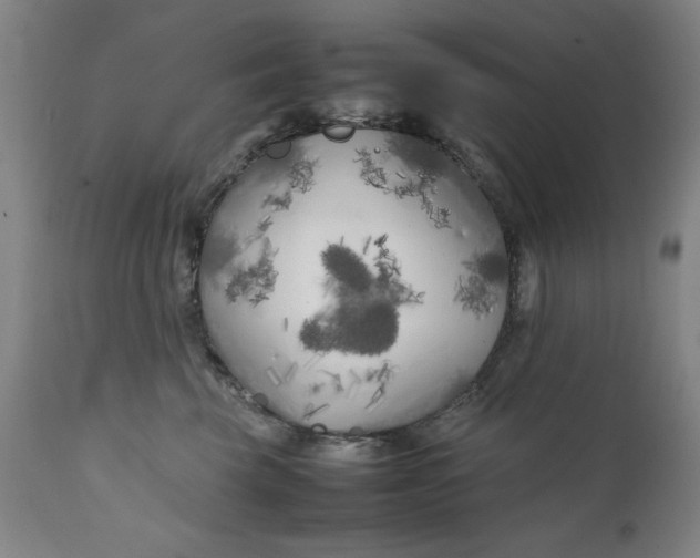 X0000111230569200907161319
