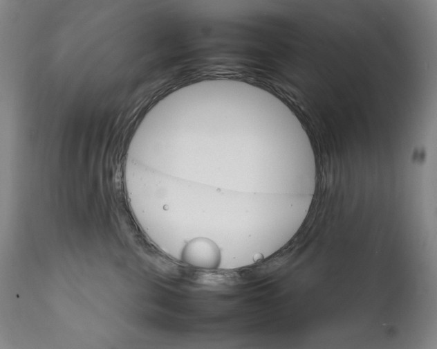 X0000111230571200907161319