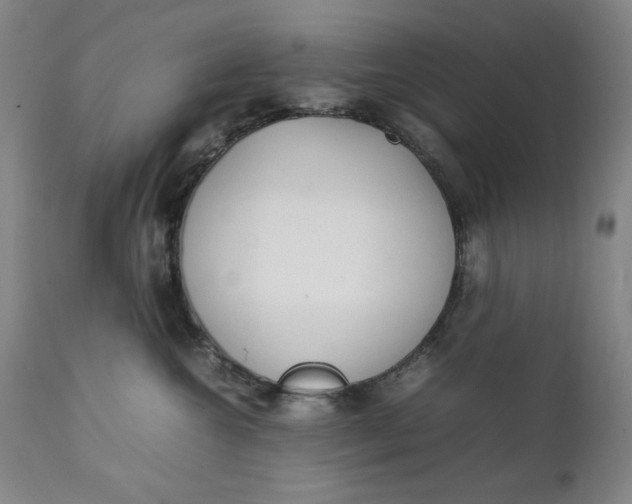 X0000111230572200907161319