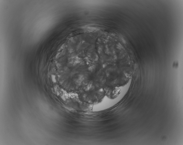 X0000111230573200907161319