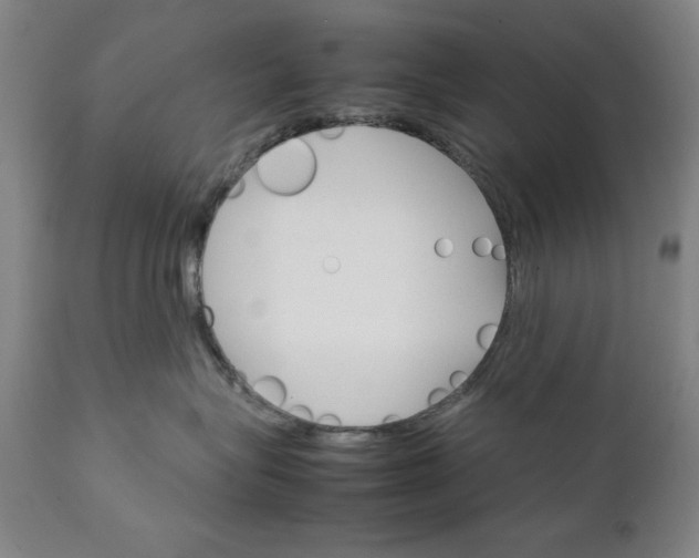 X0000111230575200907161319