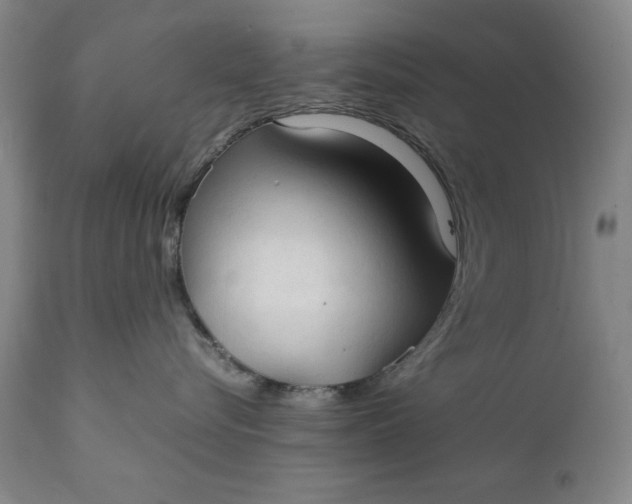 X0000111230576200907161319