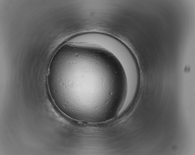X0000111230577200907161319