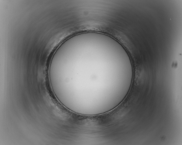 X0000111230578200907161319