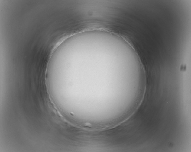 X0000111230579200907161319