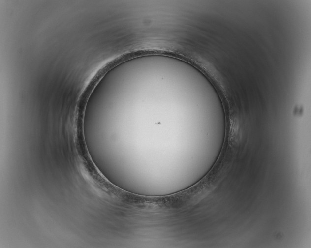 X0000111230580200907161319