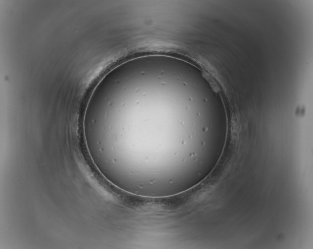X0000111230581200907161319