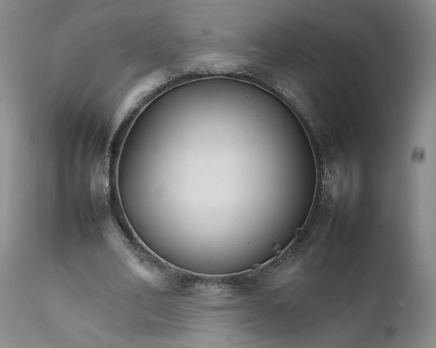 X0000111230582200907161319