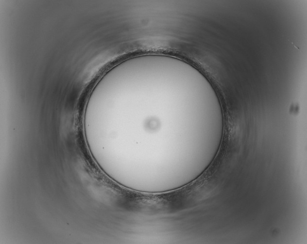 X0000111230583200907161319