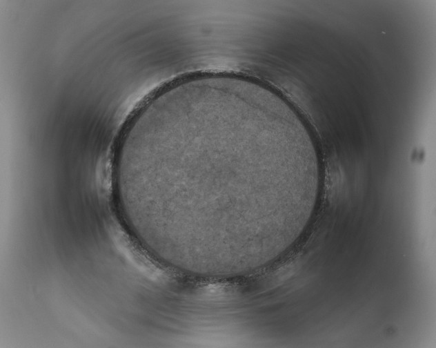 X0000111230584200907161319