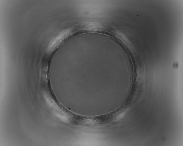 X0000111230585200907161319