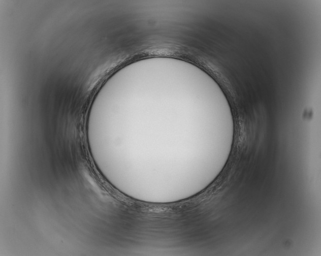 X0000111230586200907161319