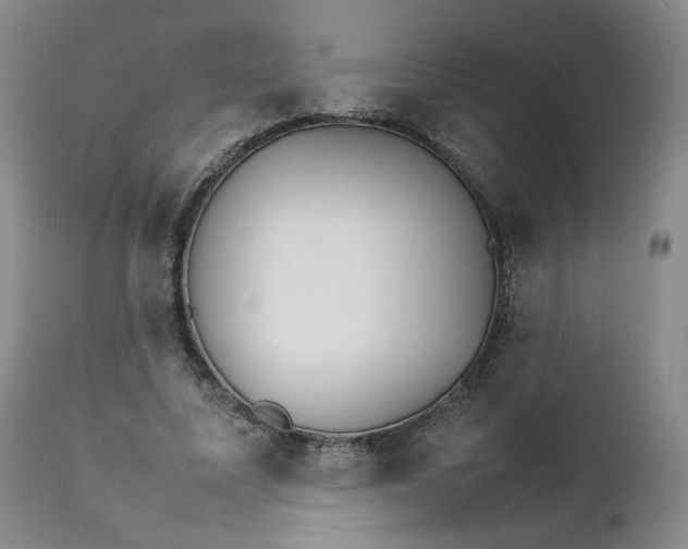 X0000111230587200907161319