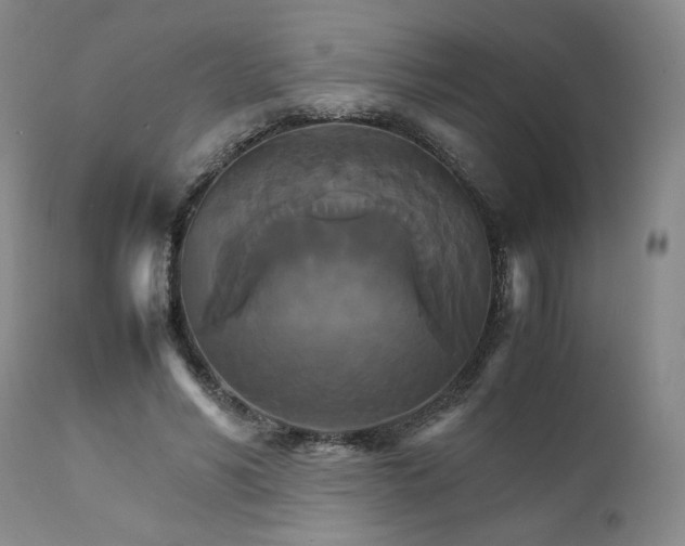 X0000111230590200907161318