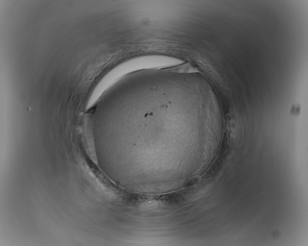 X0000111230593200907161318