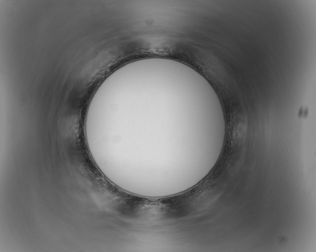 X0000111230595200907161318