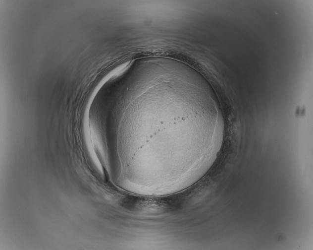 X0000111230597200907161318
