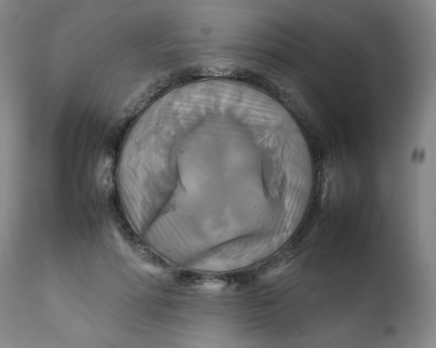 X0000111230598200907161318