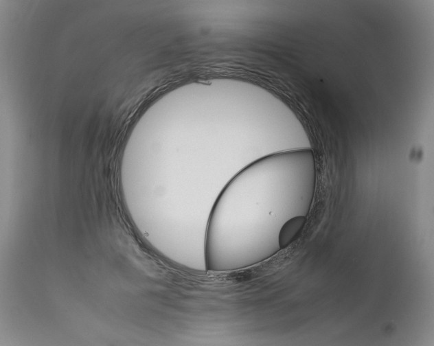 X0000111230601200907161318