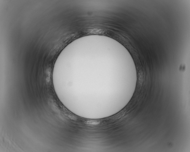 X0000111230602200907161318