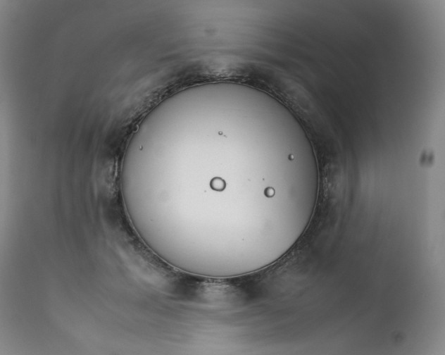 X0000111230605200907161318