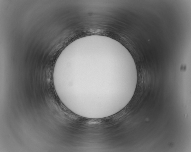 X0000111230606200907161318