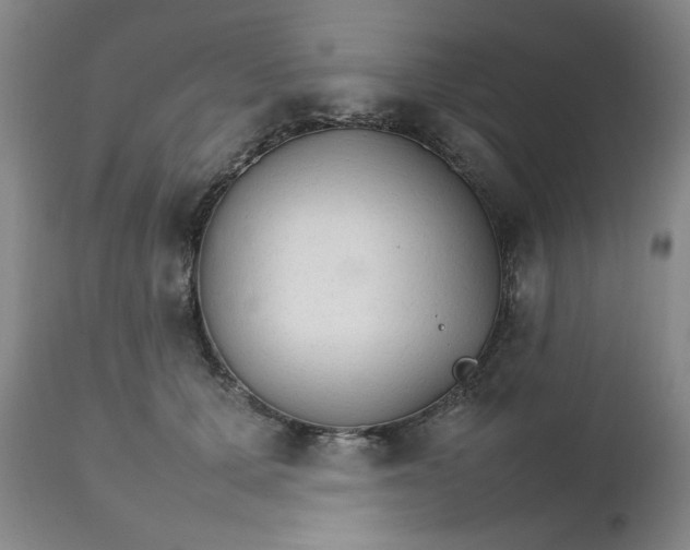 X0000111230607200907161318