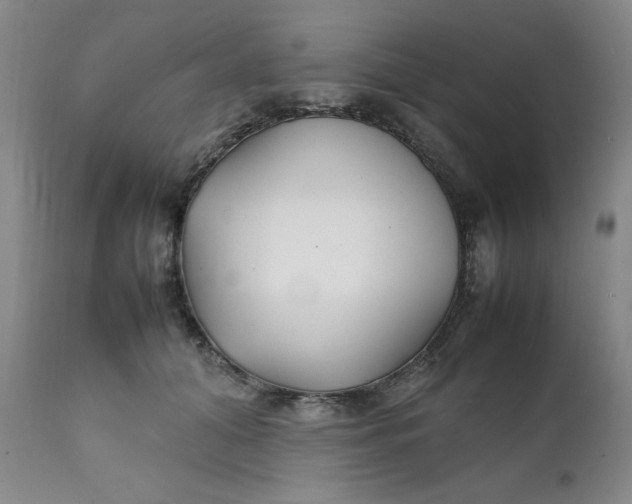 X0000111230608200907161318