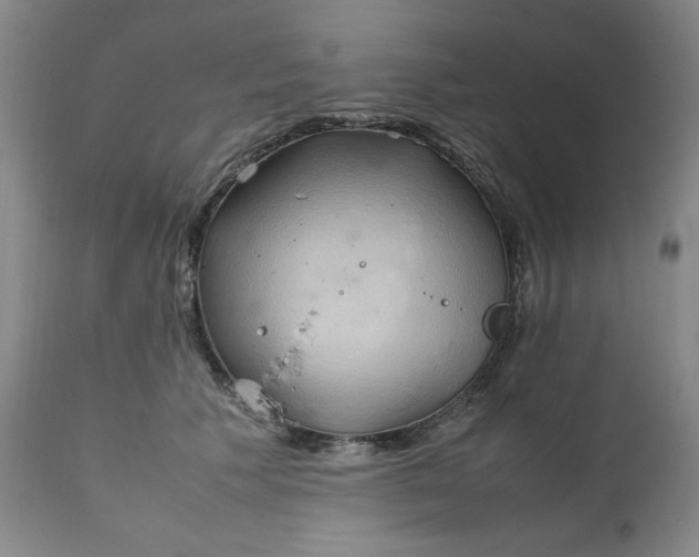 X0000111230609200907161318