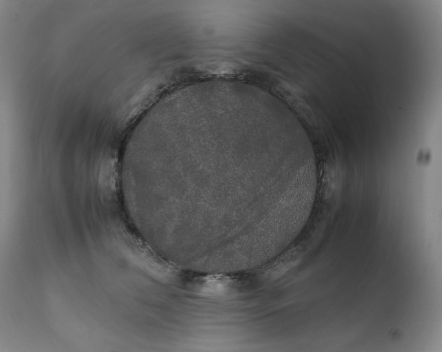 X0000111230612200907161318