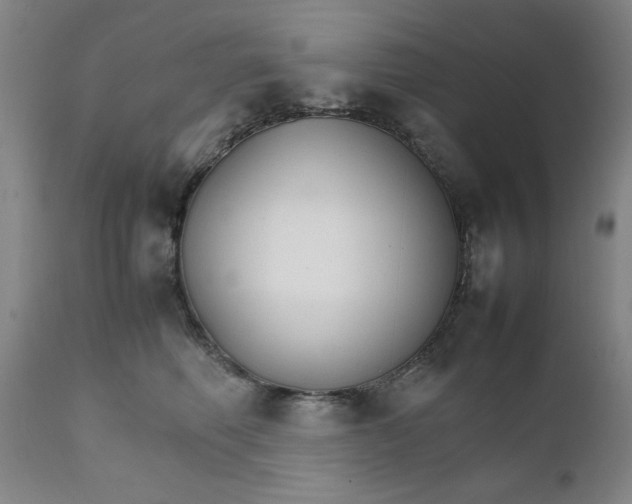 X0000111230614200907161318