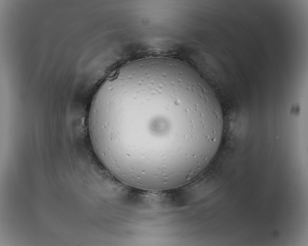 X0000111230615200907161318