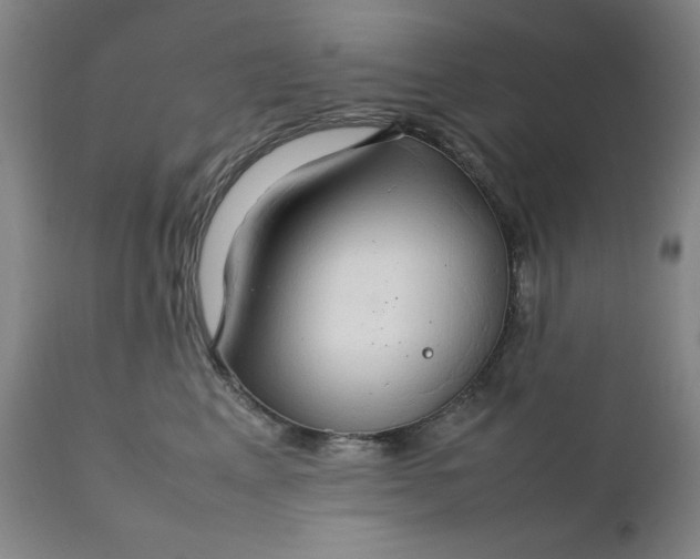 X0000111230617200907161318