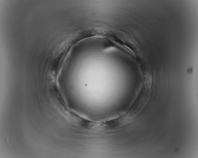 X0000111230621200907161318