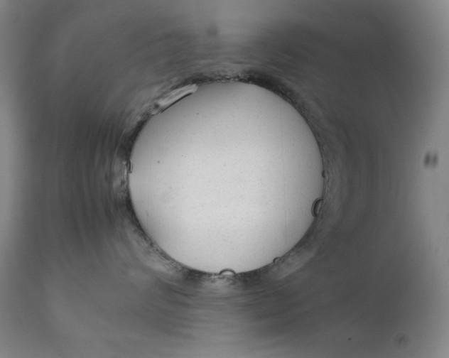 X0000111230624200907161318