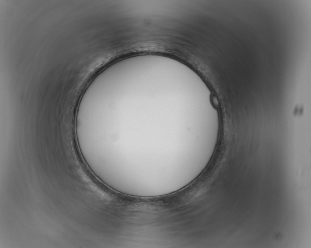 X0000111230625200907161317